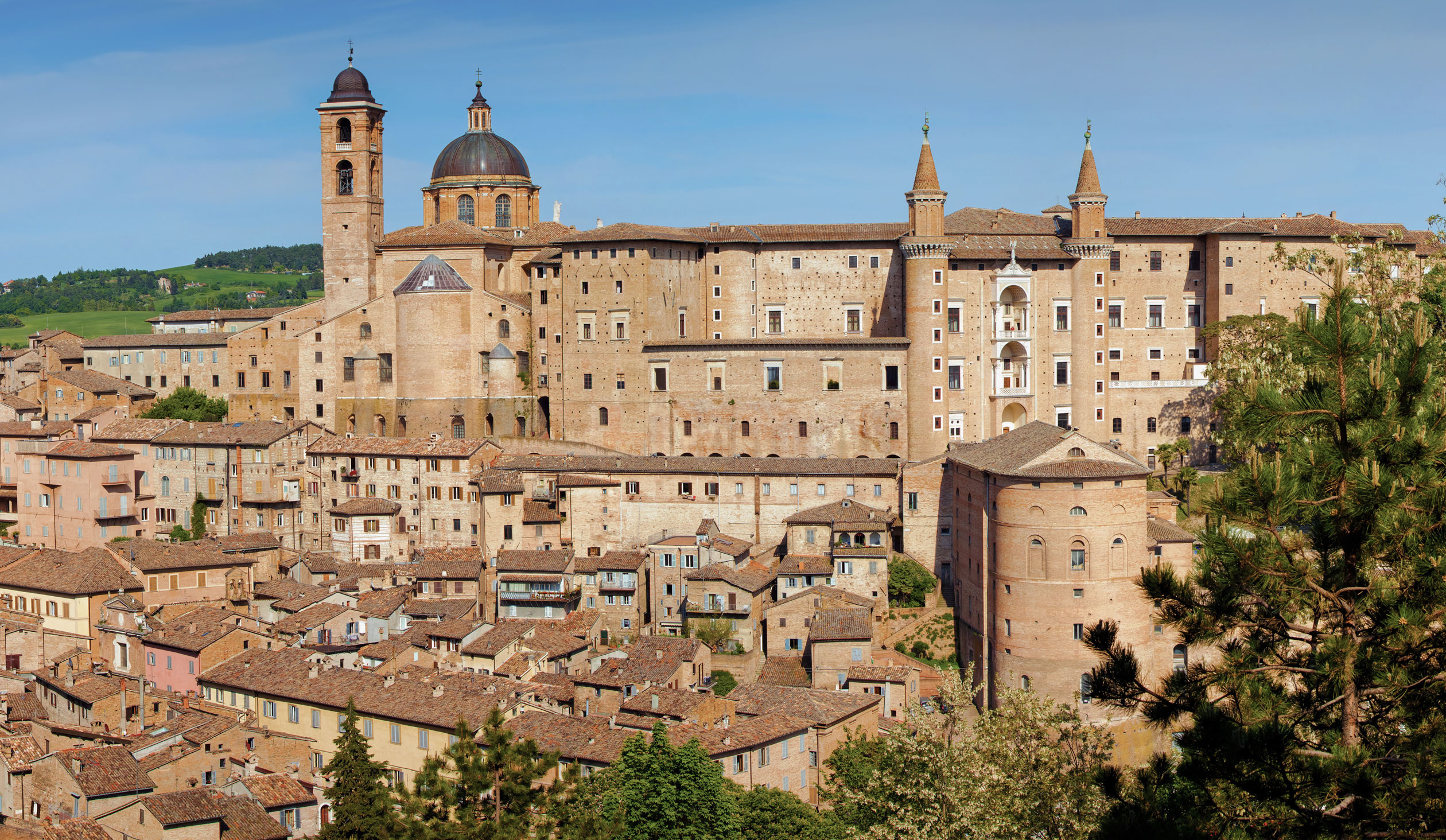 Progetto-Federico da Montefeltro e le arti. Un laboratorio del Rinascimento